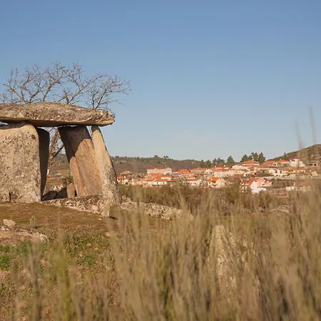 팜스테이 The By Cdv